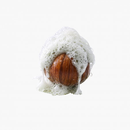 Shampoing solide à l'huile de noisette