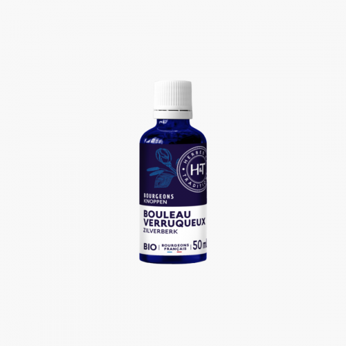 Gemmothérapie bourgeons de Bouleau verruqueux Herbes et Traditions