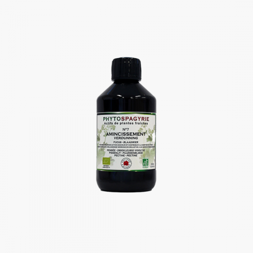 Phytospagyrie amincissement Vecteur energy