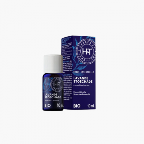 lavande stoechade papillon herbes & traditions
