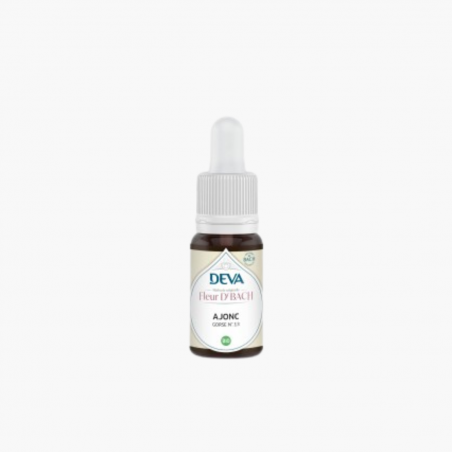 Ajonc / Gorse BIO