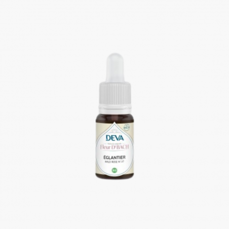Églantier  / Wild Rose BIO