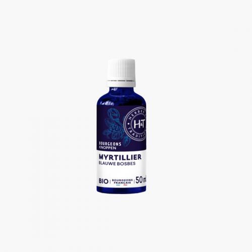 gemmotherapie myrtillier Herbes & traditions