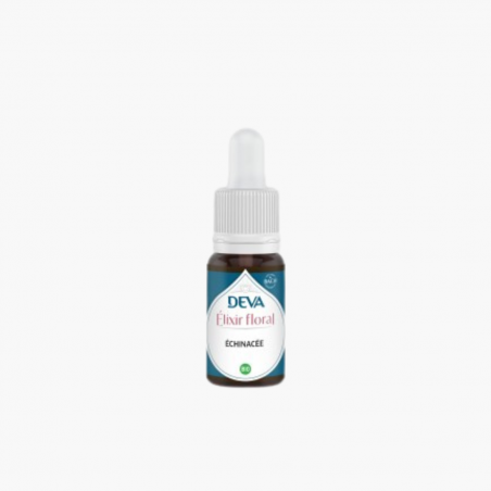 Echinacée BIO