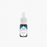 Echinacée BIO