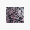 Dulse BIO