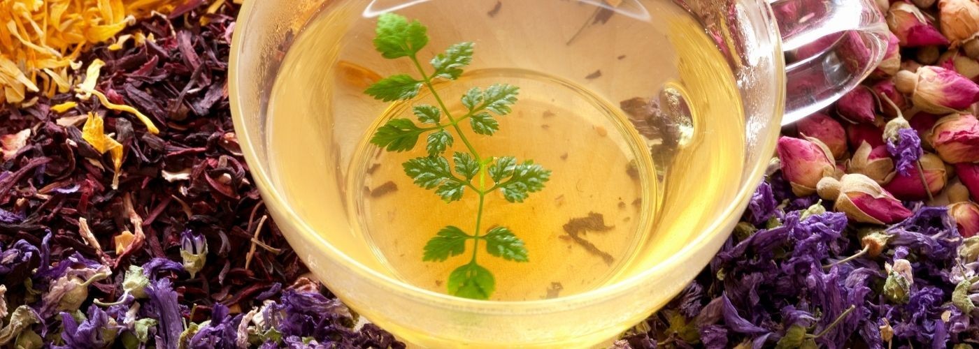 Herberie : thés, tisanes, théières