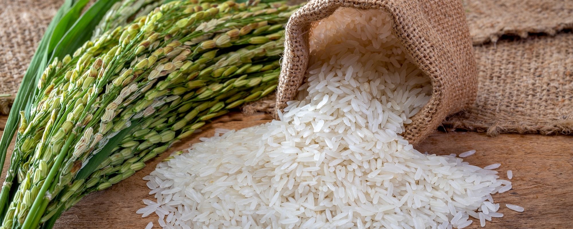 Poudre de riz